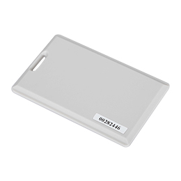 TK2435 电子标签(图1)