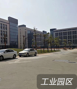 车辆检测器(图2)