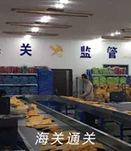 900M读卡器应用场景(图8)